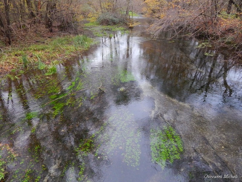 Parco del Ticino 23/11/13